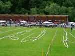 Landesbewerbe 2006